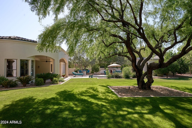 view of yard featuring a patio area and ceiling fan