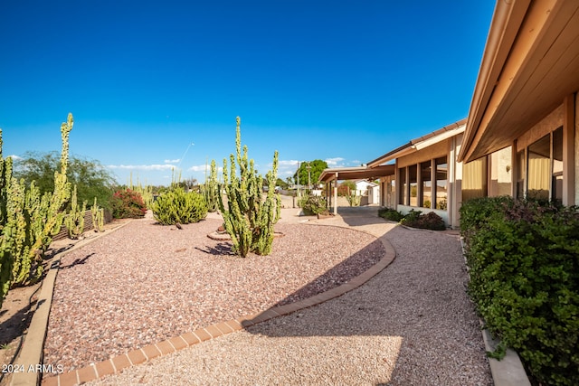 view of yard featuring a patio