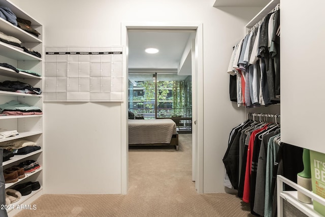 walk in closet with light colored carpet