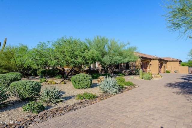 35443 N 87th Pl, Scottsdale, AZ 85266 - view of front facade featuring stucco siding and decorative driveway