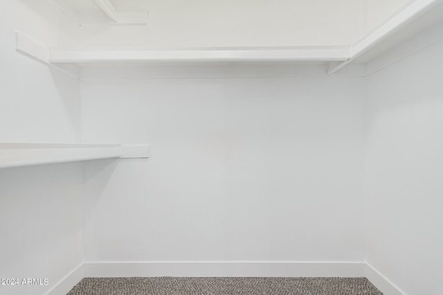 spacious closet with carpet flooring