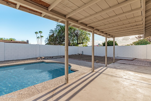 view of swimming pool with a patio