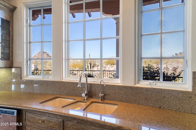 kitchen with stainless steel dishwasher, plenty of natural light, and sink