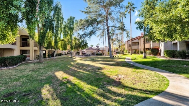 view of community featuring a lawn