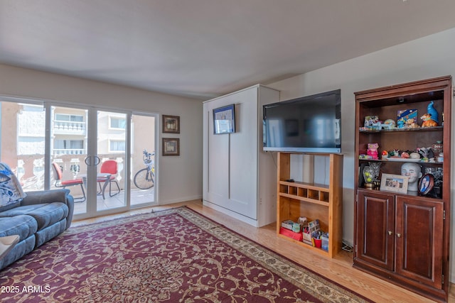 living room featuring wood finished floors