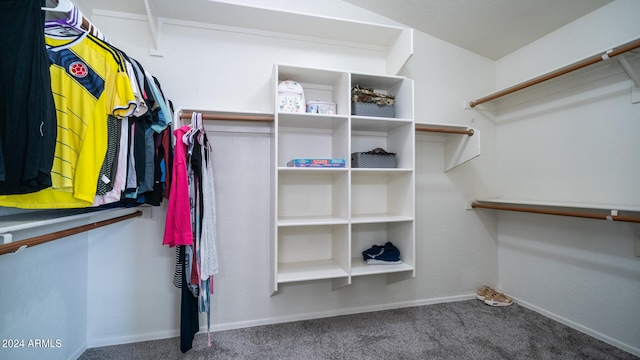 walk in closet featuring carpet