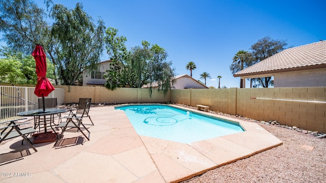 view of pool featuring a patio