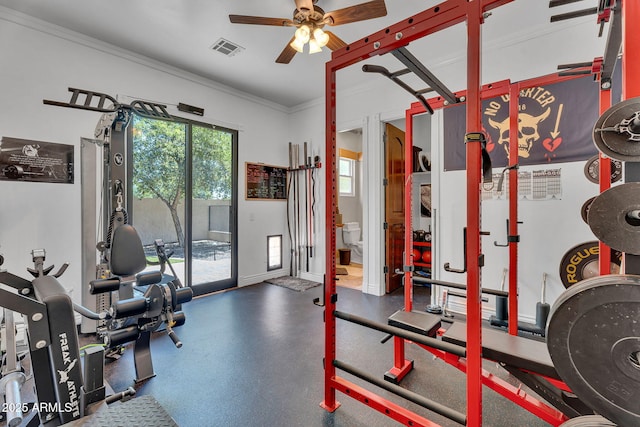 2371 E Sanoque Ct, Gilbert, AZ 85298 - exercise room with ceiling fan and crown molding
