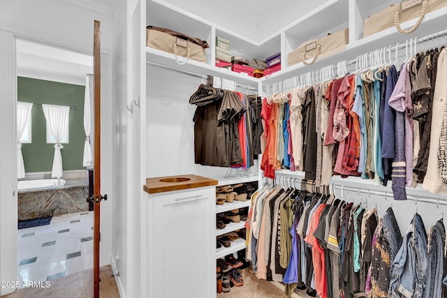 2371 E Sanoque Ct, Gilbert, AZ 85298 - view of walk in closet