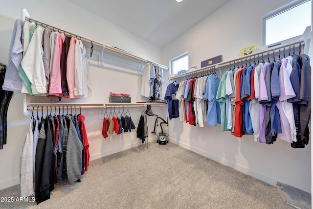 walk in closet featuring carpet floors