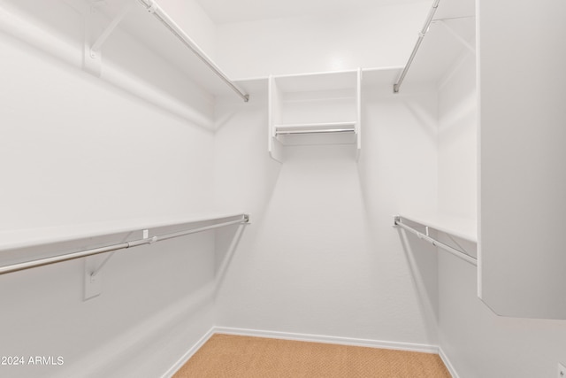 spacious closet with carpet flooring