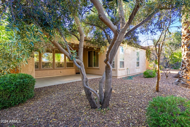 rear view of property with a patio