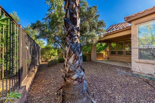 view of yard with a patio area