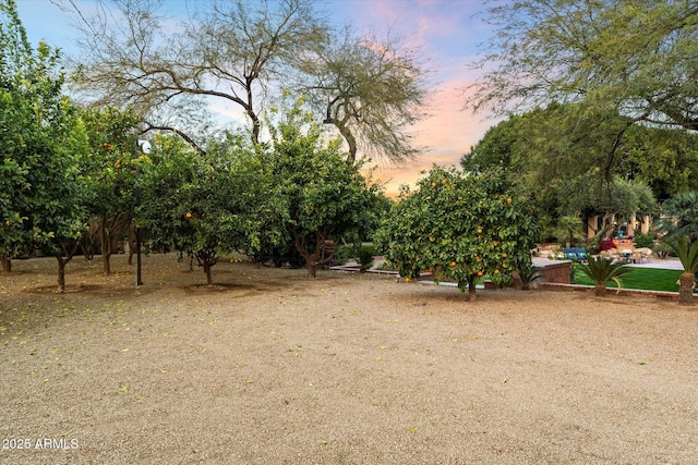 view of yard at dusk