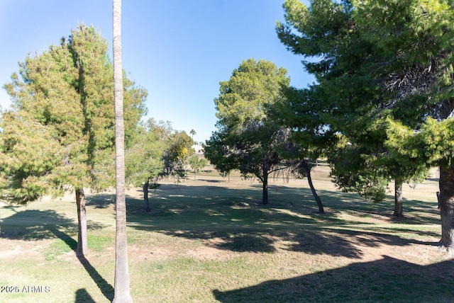 view of property's community