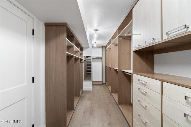 walk in closet with light hardwood / wood-style flooring