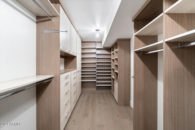 spacious closet featuring light wood-type flooring