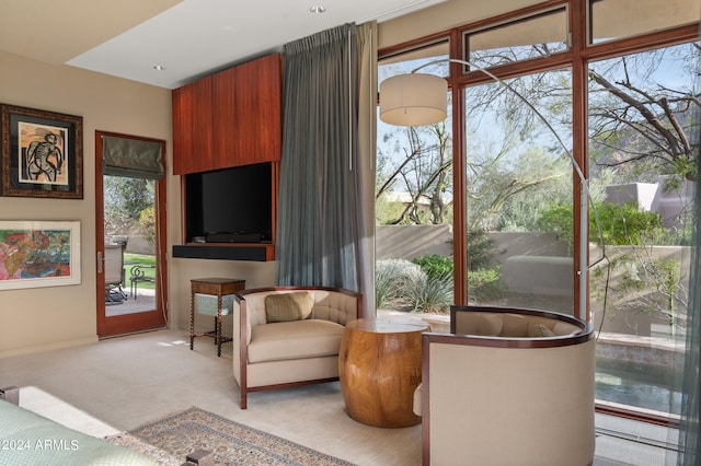 living area with carpet floors