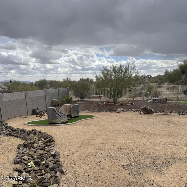 view of yard with a fenced backyard