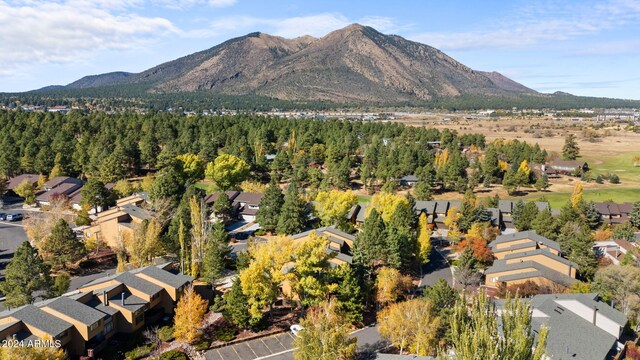2900 N Saddleback Way Unit 9, Flagstaff, AZ 86004 - view of mountain background with nearby suburban area