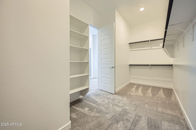 walk in closet with carpet