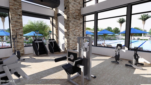exercise room featuring carpet flooring and a high ceiling