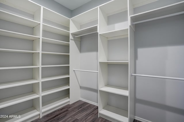 spacious closet with dark wood-type flooring