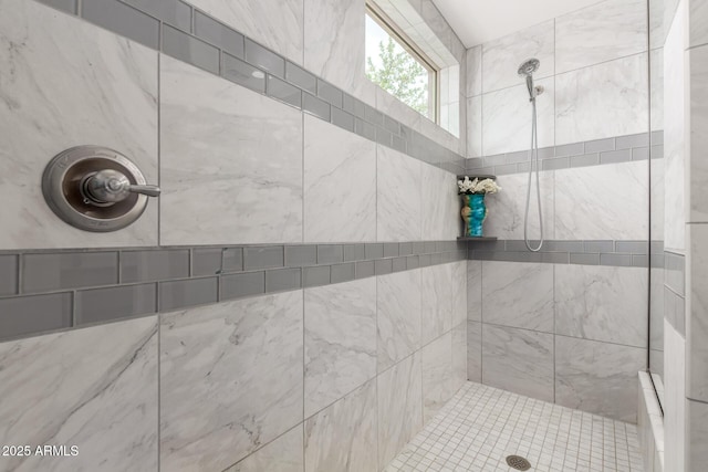 5407 S Tatum Ln, Gilbert, AZ 85298 - full bathroom with a tile shower