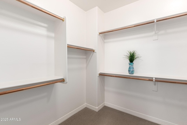 5407 S Tatum Ln, Gilbert, AZ 85298 - walk in closet featuring carpet