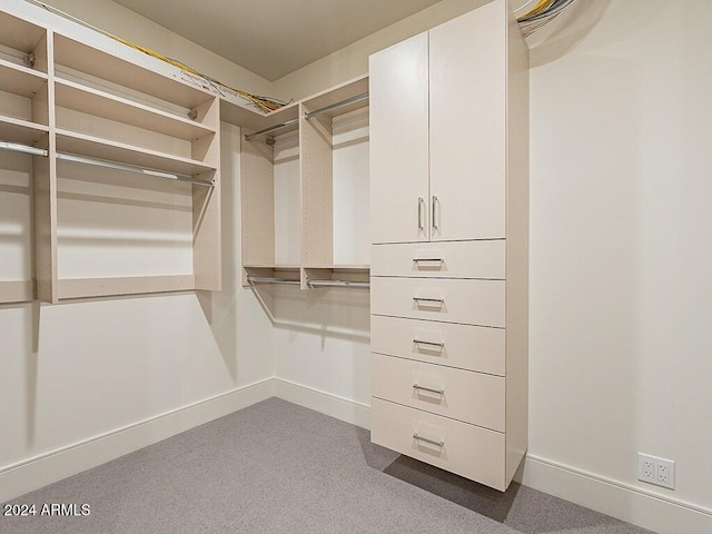 spacious closet featuring light colored carpet