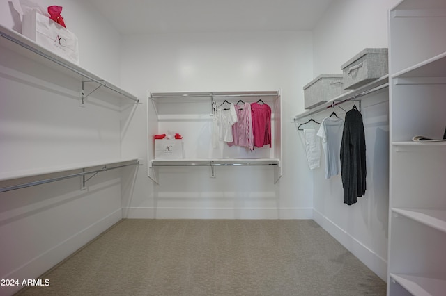 walk in closet with carpet flooring