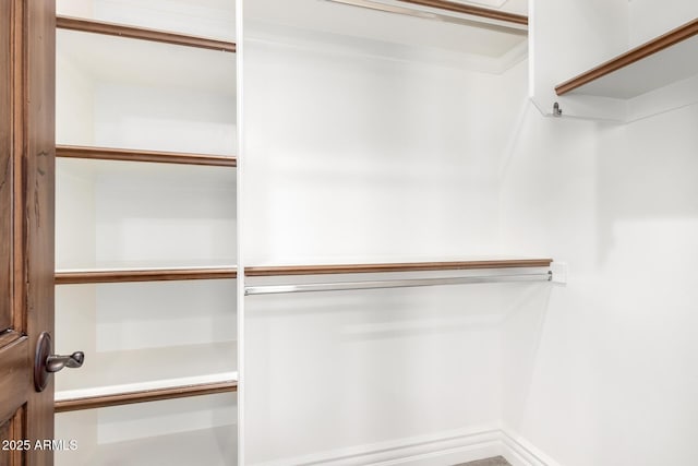 view of spacious closet