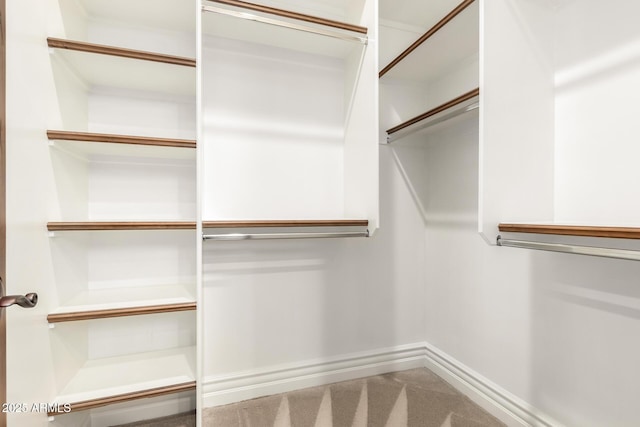 spacious closet with carpet