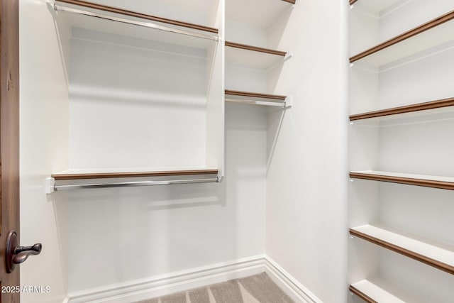 walk in closet featuring carpet floors