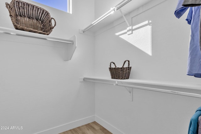 spacious closet with light hardwood / wood-style flooring