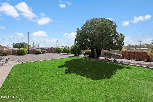 11421 W Lakeshore Dr, Youngtown, AZ 85363 - view of yard featuring a fenced backyard