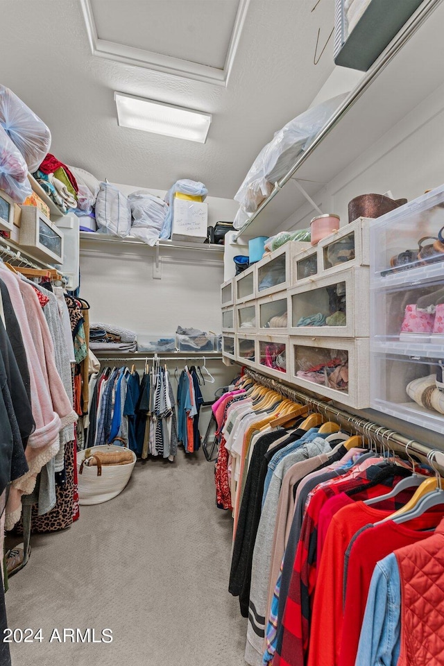 walk in closet with carpet flooring