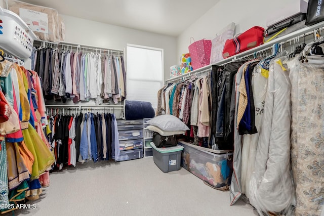 spacious closet with carpet flooring