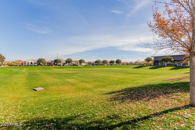 view of property's community featuring a lawn