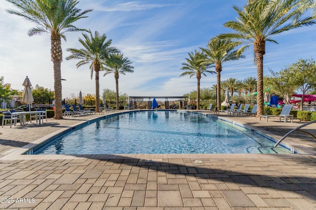 view of pool with a patio area