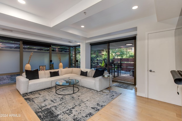 living room featuring light hardwood / wood-style floors