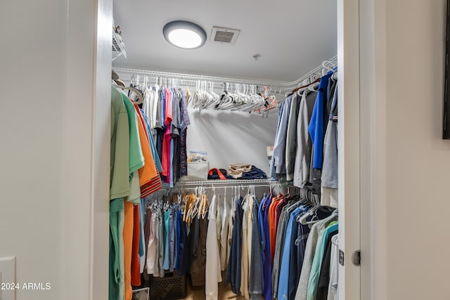 view of spacious closet