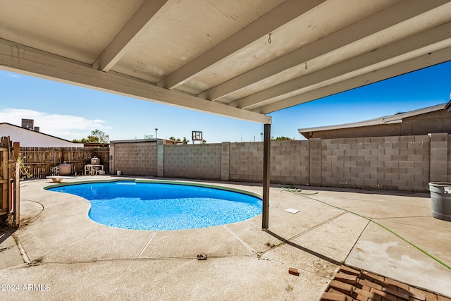 view of pool featuring a patio