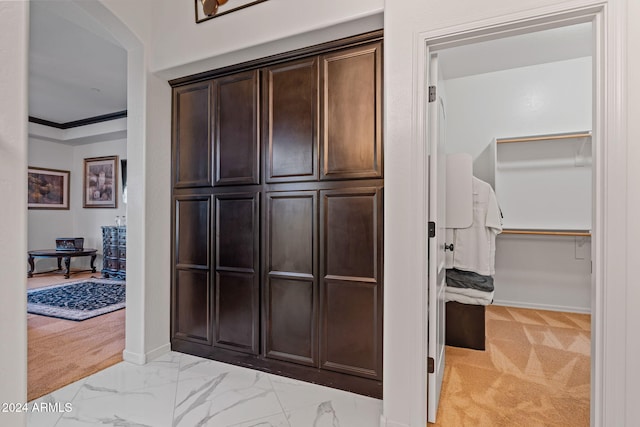 hall featuring light colored carpet and ornamental molding