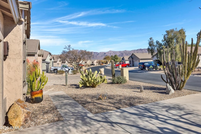 view of yard with a mountain view