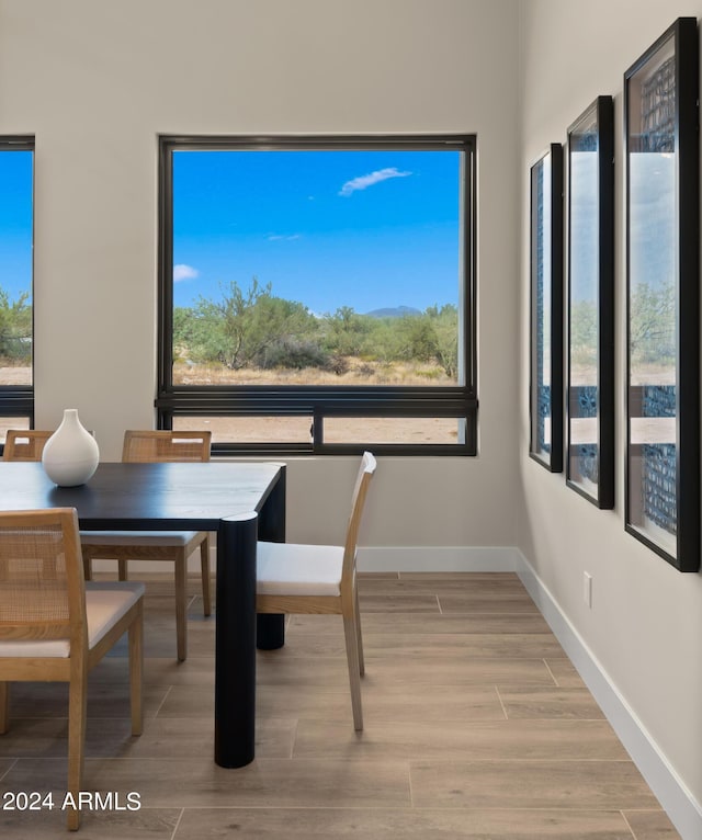 dining room featuring light wood finished floors, baseboards, and a wealth of natural light