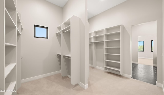 spacious closet featuring light colored carpet