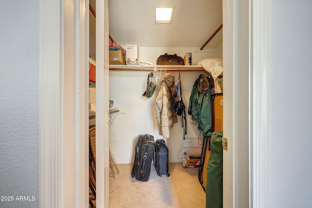 spacious closet featuring carpet flooring