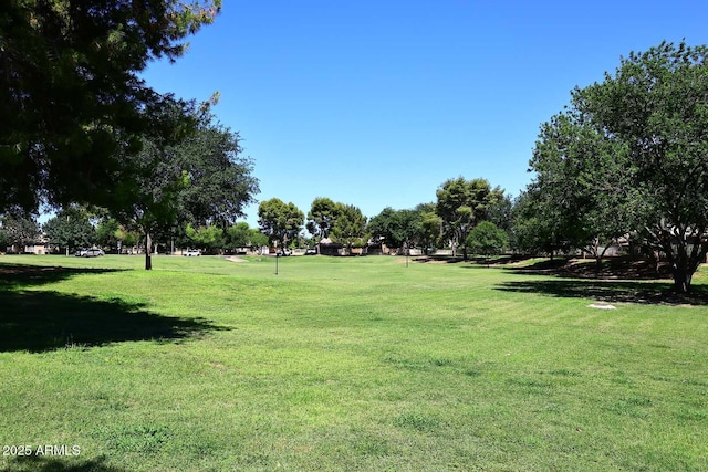 1640 W Gail Dr, Chandler, AZ 85224 - view of community with a yard
