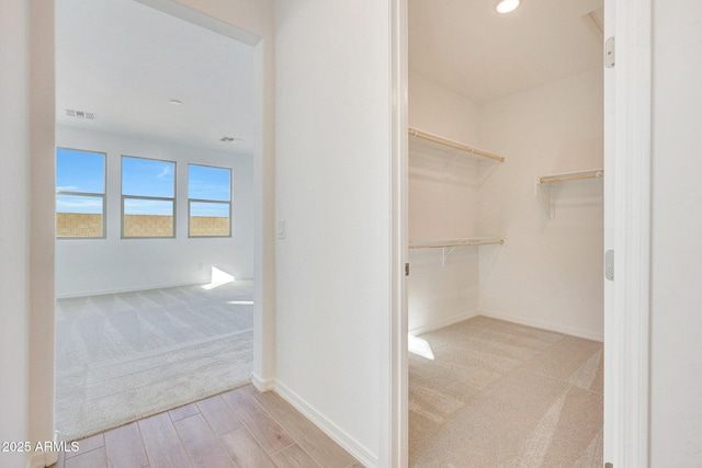 walk in closet featuring carpet flooring, visible vents, and wood finished floors